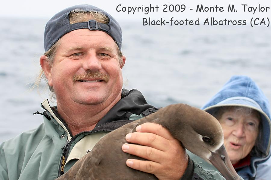 Black-footed Albatross -with Wes Fritz and Grandma- (California)