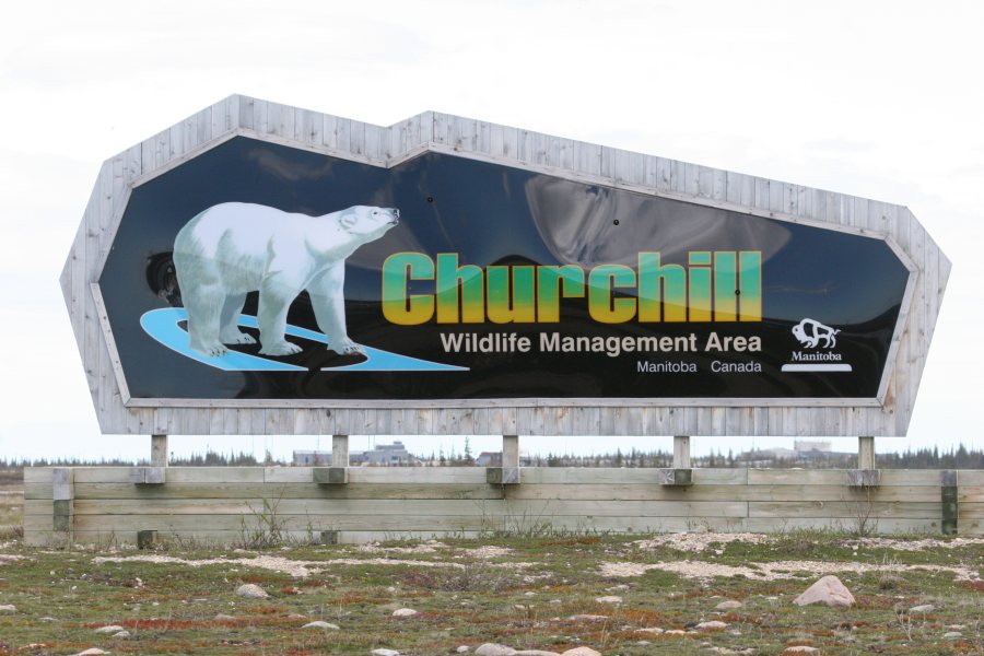 Polar Bear sign in Churchill, Manitoba, Canada on the Hudson Bay