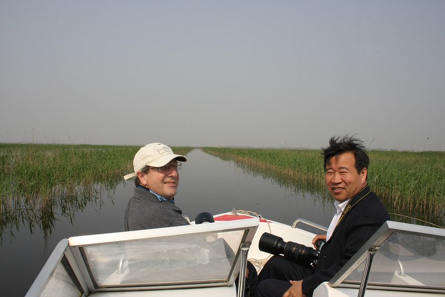 Photographing Whiskered Terns in Qilihai Preserve, Tianjin, China